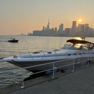 Searay 440 (50ft)